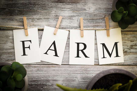 A set of printed cards spelling the word FARM on an aged wooden background.の写真素材