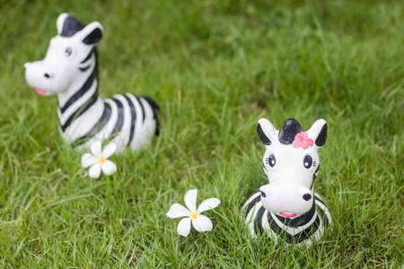 baby zebra doll on the green grassの写真素材