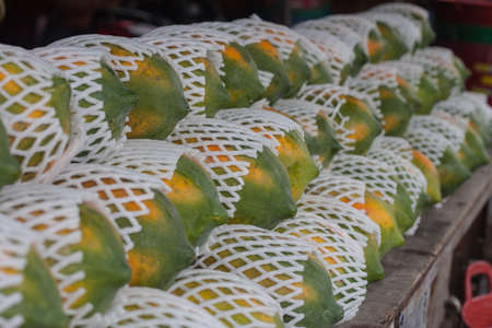 many quality papaya in the fruit marketの写真素材