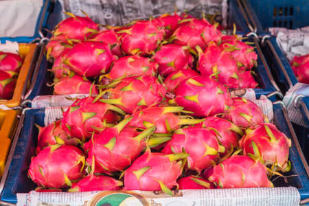 many quality dragon fruit in the marketの写真素材