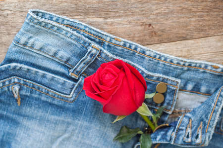 Red rose and jeans on wood background