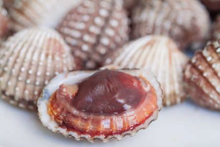 Grilled cockle on the table is Thai seafood style.の写真素材