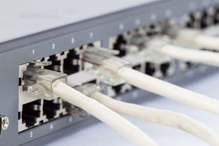 network cable is connected to a switchesの写真素材