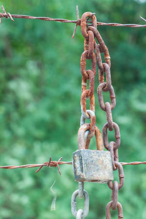 rusty chain hang with barbed wire on green background