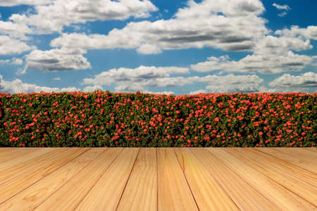 Wooden floor and flower with sky for backgroundの写真素材