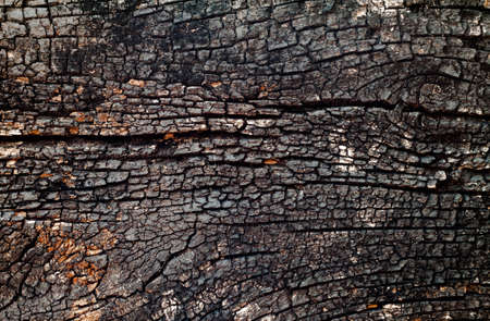 Texture of old wood used for backgroundの写真素材