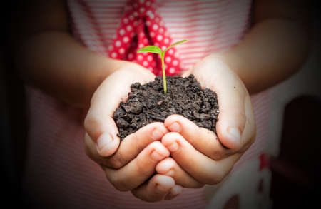 child hands holding soil with sproutの写真素材