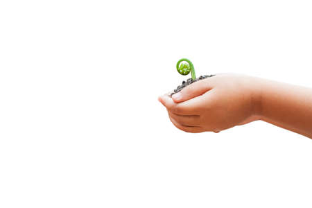 child hands holding soil with sprout isolated on white backgroundの写真素材