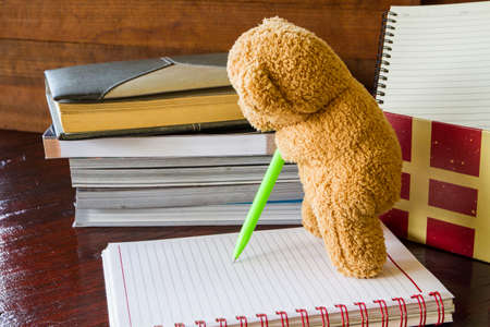 Teddy Bear holding a pen writing on notebookの写真素材