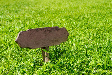 Blank old wood billboard on green grassの写真素材