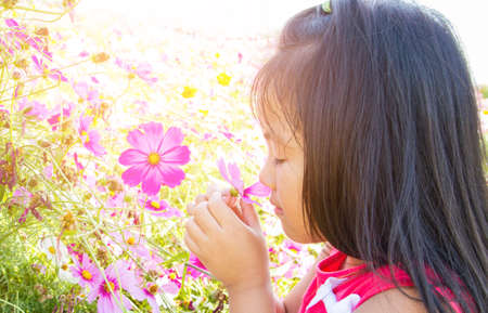 Little asian girl in cosmos flower fieldsの写真素材