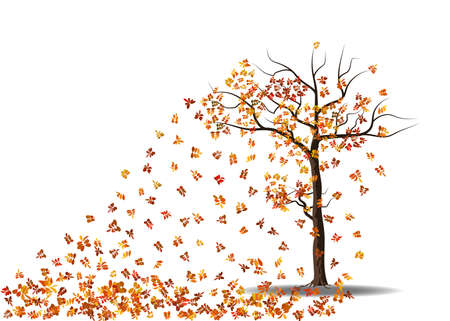 Red autumn tree with leaves falling isolated on white background, vector illustrationのイラスト素材