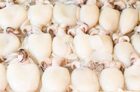 Fresh Squid on ice in seafood marketの写真素材