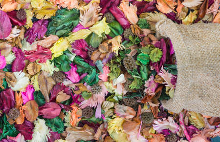 Colorful of dry leaves with aroma. leaf backgroundの写真素材