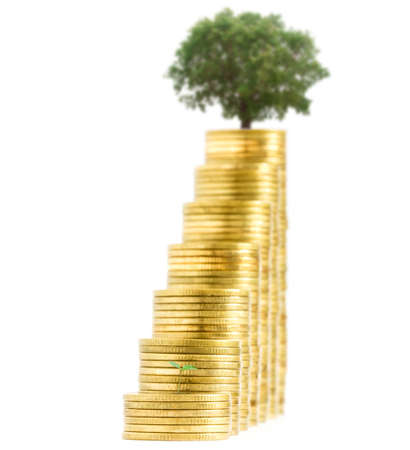 Coins stacks with sapling and tree isolated on a white backgroundの写真素材