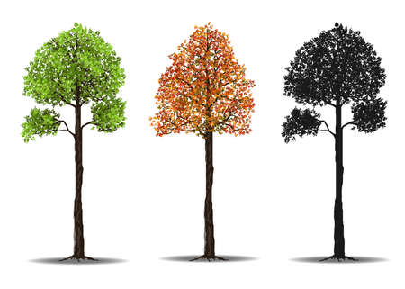 Set of treesのイラスト素材