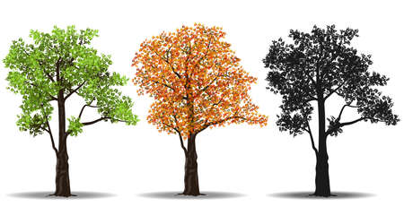 Collection of treesのイラスト素材