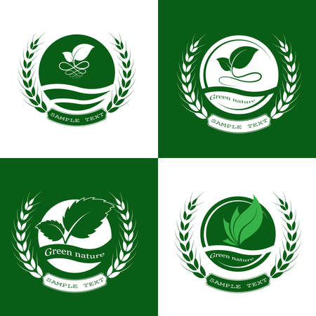 green leaf icon with wheat on white background. Leaves icon design elements, ecology concept,  vector illustrationのイラスト素材