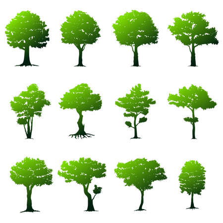 Set of trees on white background. Nature vector illustration.のイラスト素材