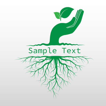 green leaf on human hand with root. Leaves icon and ecology conceptのイラスト素材
