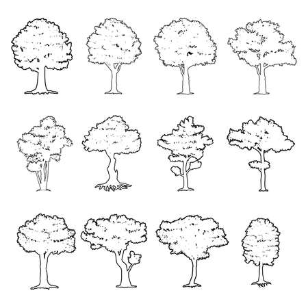 big tree silhouettes isolated on a white background, symbol and icon for nature concept.のイラスト素材