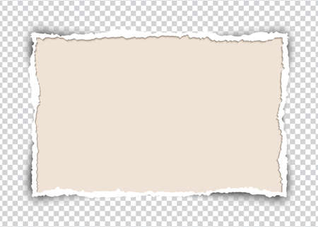 torn paper, ripped piece abstract for vector backgroundのイラスト素材