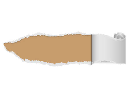 torn paper, ripped piece abstract for vector backgroundのイラスト素材