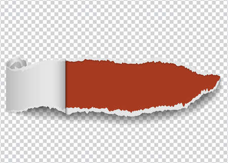 torn paper, ripped piece abstract for vector backgroundのイラスト素材