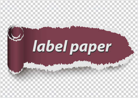 torn paper, ripped label on transparent backgroundのイラスト素材