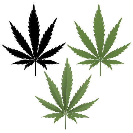 Cannabis leaf. Green marijuana isolated on white background. Herbal medicine herb plant. Vector illustrationのイラスト素材