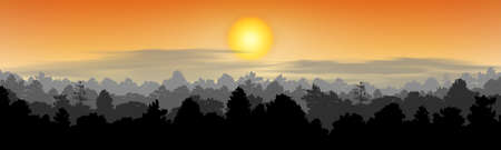 trees silhouettes in forest natural wild with sunset  background, vector illustrationのイラスト素材