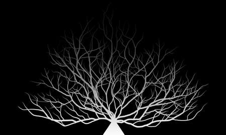 big trees dead silhouettes isolated on black background, vector illustrationのイラスト素材