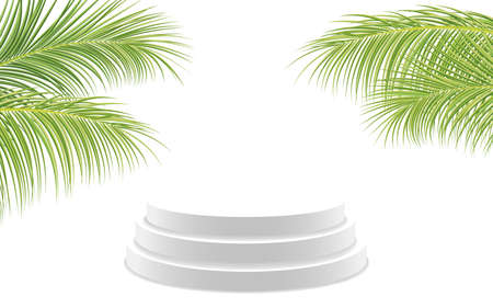 White product display podium with coconut leaves. cylinder pedestal on green background, vector illustrationのイラスト素材