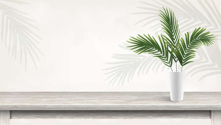 palm leaf in flower pot, green fern in white vase on wood shelf. decor in home interior with wooden...