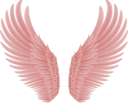 angel wings. bird wing, freedom conceptの写真素材