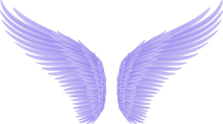 angel wings. bird wing, freedom conceptの写真素材