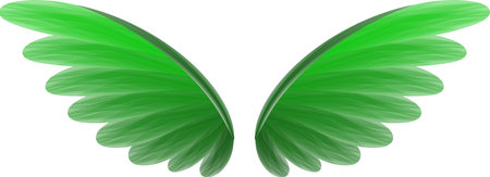 angel wings. bird wing, freedom conceptの写真素材