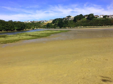 Tide is out Cornwall river seaの写真素材