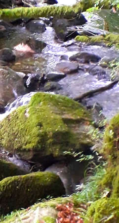 waterfall stream scene of moss natureの写真素材