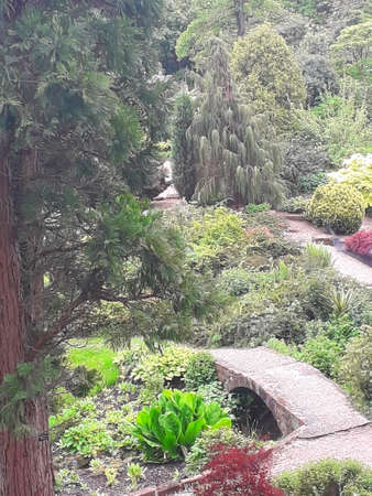 Oriental garden design in Englandの写真素材