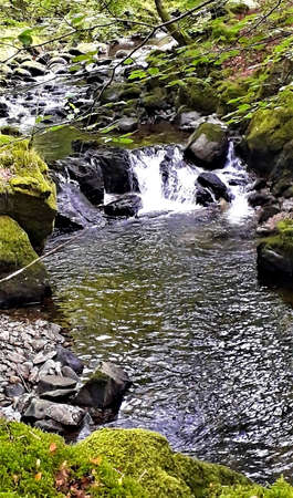 Stone pebble stream with a small waterfallの写真素材