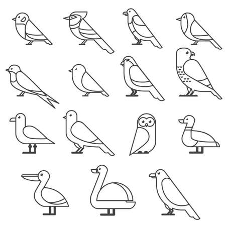 bird icon collection. Different birds species thin line style, flat designのイラスト素材
