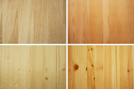 oak beech spruce and pine real wood samplesの写真素材