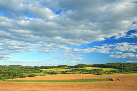 Spring landscape in sunny day. Rural countryside near Benesov city in Czech Republic.の写真素材