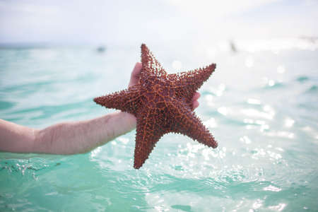 man holding a starfish