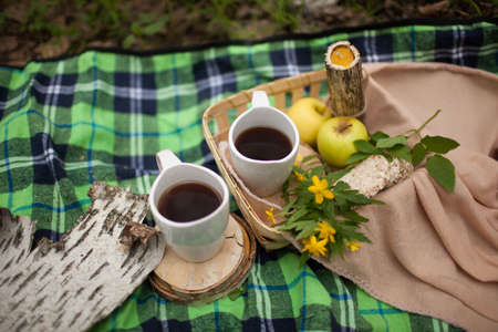 picnic in the forest on fresh air in summerの写真素材