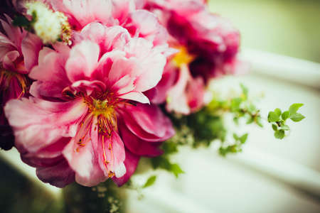 beautiful pink flower on a green backgroundの写真素材