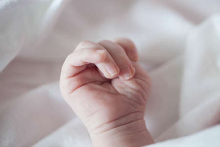 hand of a newborn on a white background.の写真素材