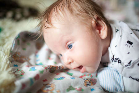 A newborn lies on his stomach and learn to keep your headの写真素材