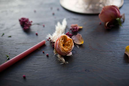 Bright flower on a dark backgroundの写真素材